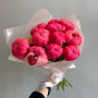 11 коралловых пионов фото 4